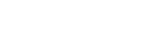 LEO Coupe Flight