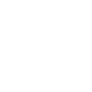 The Ritz-Carlton